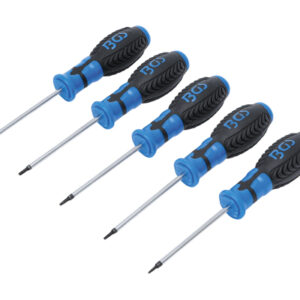 Csavarhúzó készlet | T-profil (Torx) furattal | T6 - T10 | 5 darabos