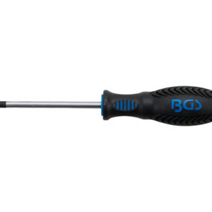 Csavarhúzó | T-profil (Torx) T30 furattal | Pengehossz 100 mm