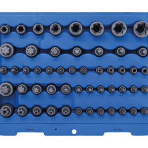 Behajtófej- és dugókulcs-készlet | E-profil / Torx / Torx furattal / Torx plus | 52 darabos